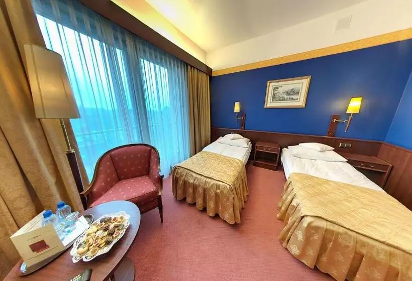 キングサイズベッドのデラックスルーム, Parkhotel Vienna