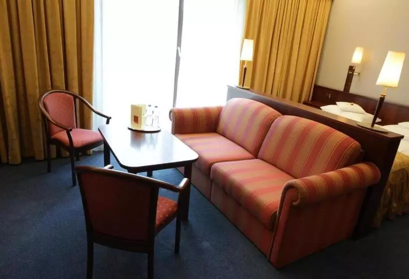 キングサイズベッドのデラックスルーム, Parkhotel Vienna