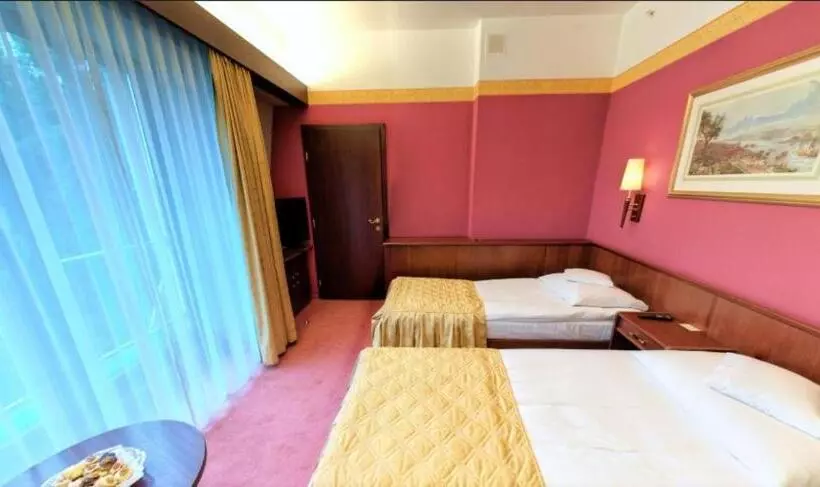ビジネスルーム, Parkhotel Vienna