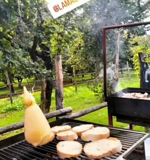 Номер Стандарт, La Massaria