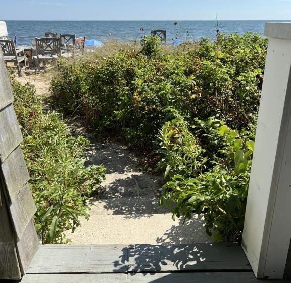 景色の見えるスタンダード4人部屋, Seashell Motel