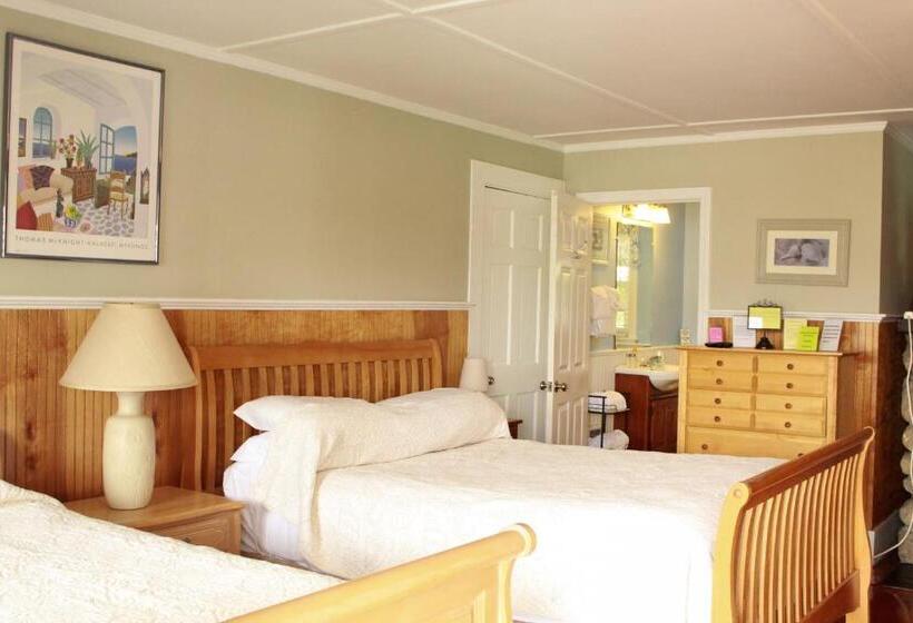 クイーンサイズベッドのスタンダードルーム, Seashell Motel