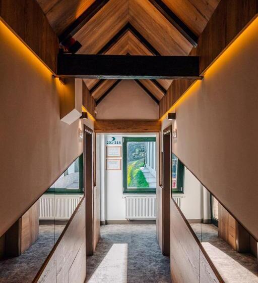 آپارتمان 2 خوابه, Forest