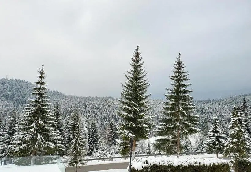 اتاق استاندارد با چشمانداز کوهستان, Forest