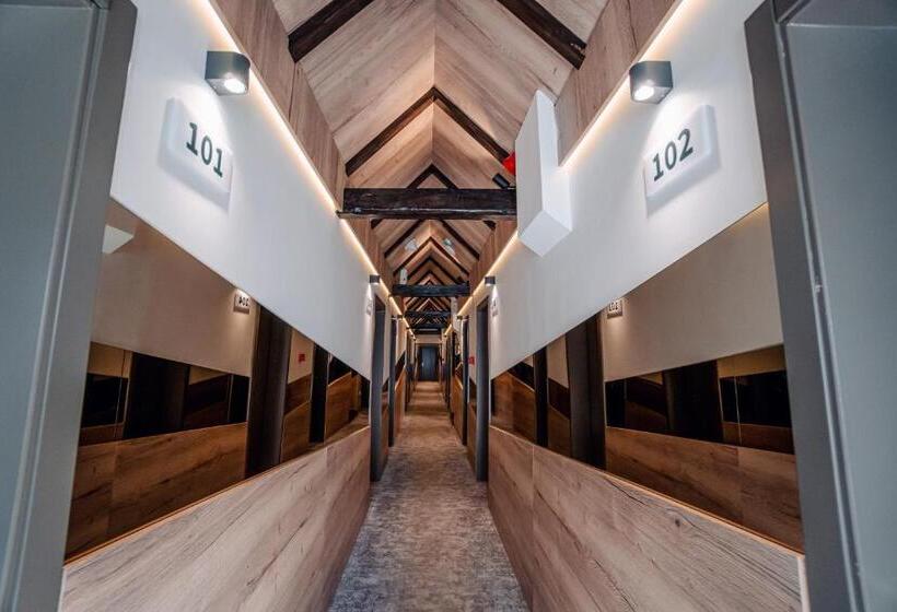 اتاق استاندارد, Forest