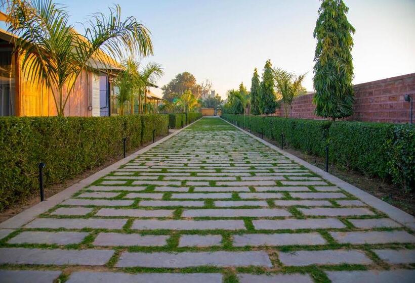 غرفة قياسية, Kurja Resort Balsamand