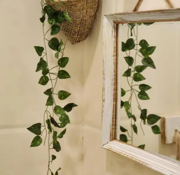اتاق اکونومی, Frida House