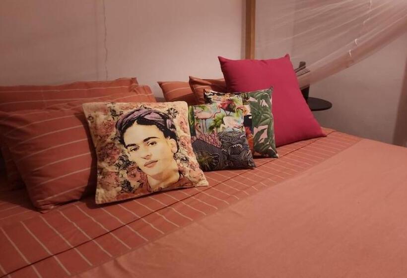 اتاق اکونومی, Frida House