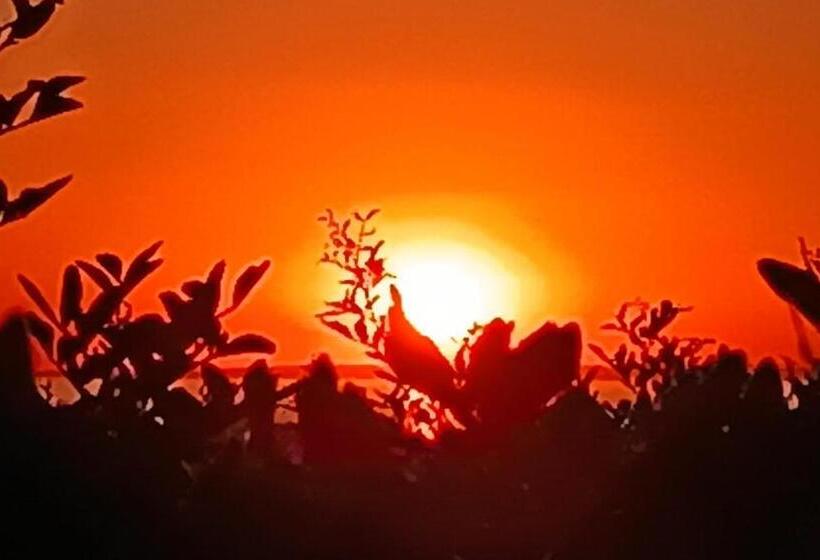 غرفة قياسية, Il Giardino Dei Tramonti