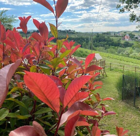 2ベッドルームアパートメント, Podere Boscone