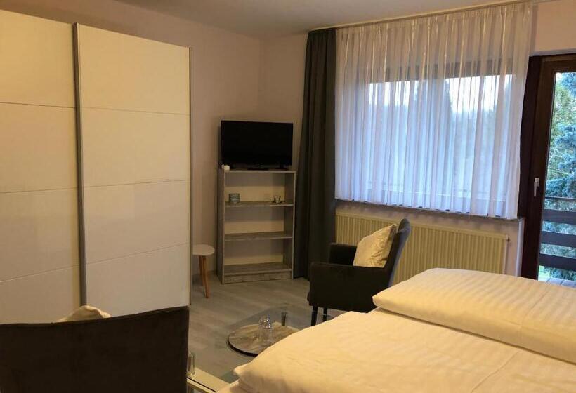 Номер Стандарт с Балконом, Pension Dabrunz