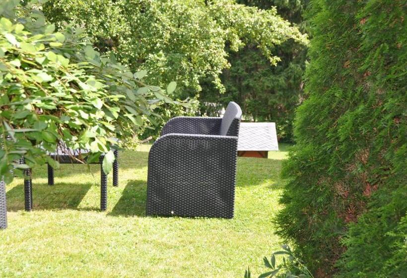 Номер Стандарт с Террасой, Pension Dabrunz