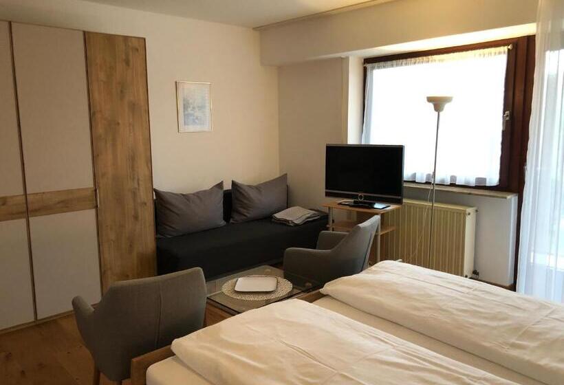 Номер Стандарт с Террасой, Pension Dabrunz