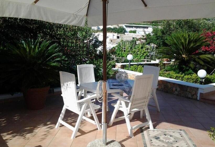 استودیوی استاندارد, Ponza Le Forna