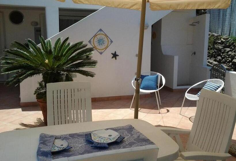 استودیوی استاندارد, Ponza Le Forna