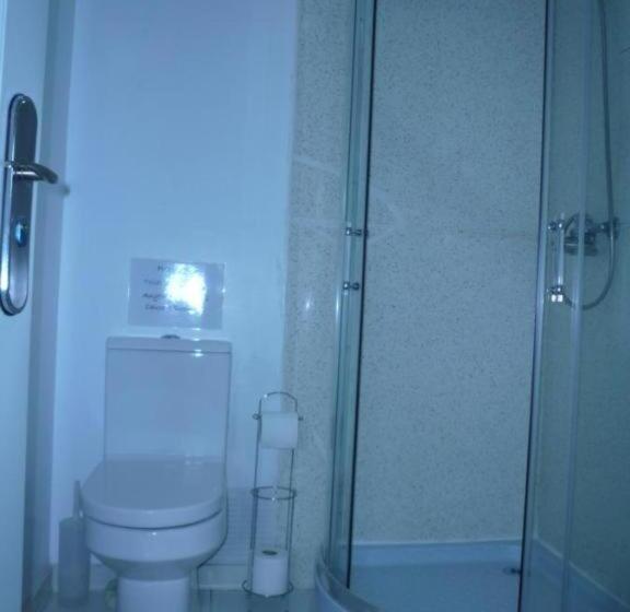 Номер Стандарт Трехместный, Ardenlea House Hotel B&b