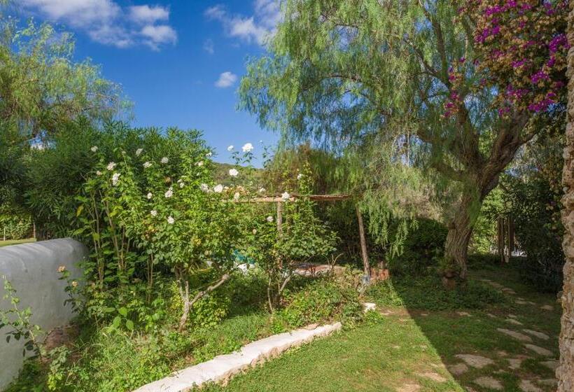 スタンダードルーム, Can Quince De Balafia   Turismo De Interior