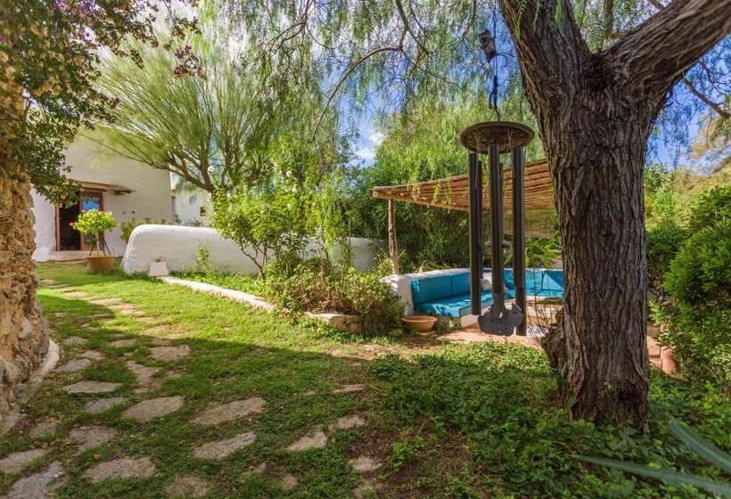 スタンダードルーム, Can Quince De Balafia   Turismo De Interior