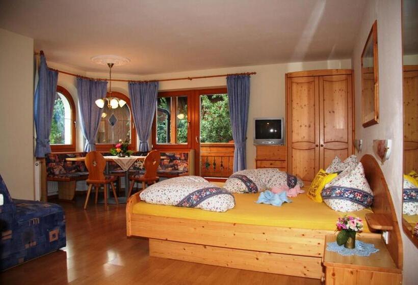 סטודיו סטנדרט עם מרפסת, Mair Am Hof