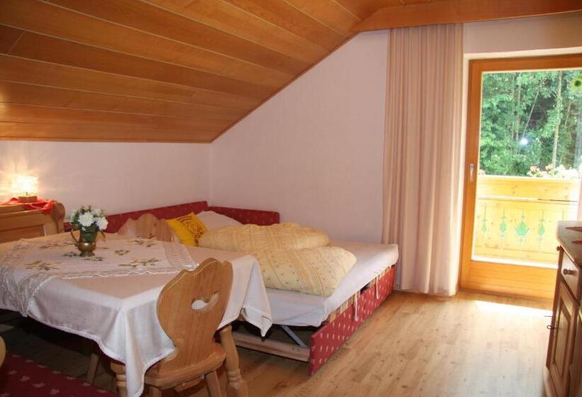 شقة سوبريور غرفة واحدة, Mair Am Hof