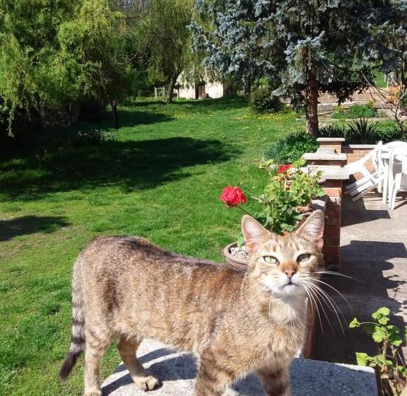 ２ベッドルームアパートメント, Helesfa Vendégház