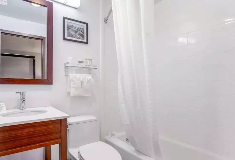 ２ダブルベッドのスタンダードルーム, Avion Inn Near Lga Airport, Ascend Hotel Collection