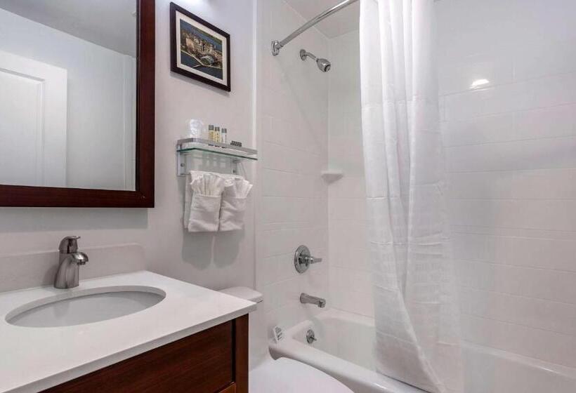 اتاق استاندارد با 2 تخت دوبل, Avion Inn Near Lga Airport, Ascend Hotel Collection