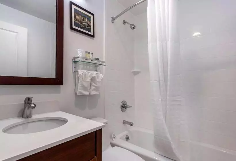 ２ダブルベッドのスタンダードルーム, Avion Inn Near Lga Airport, Ascend Hotel Collection