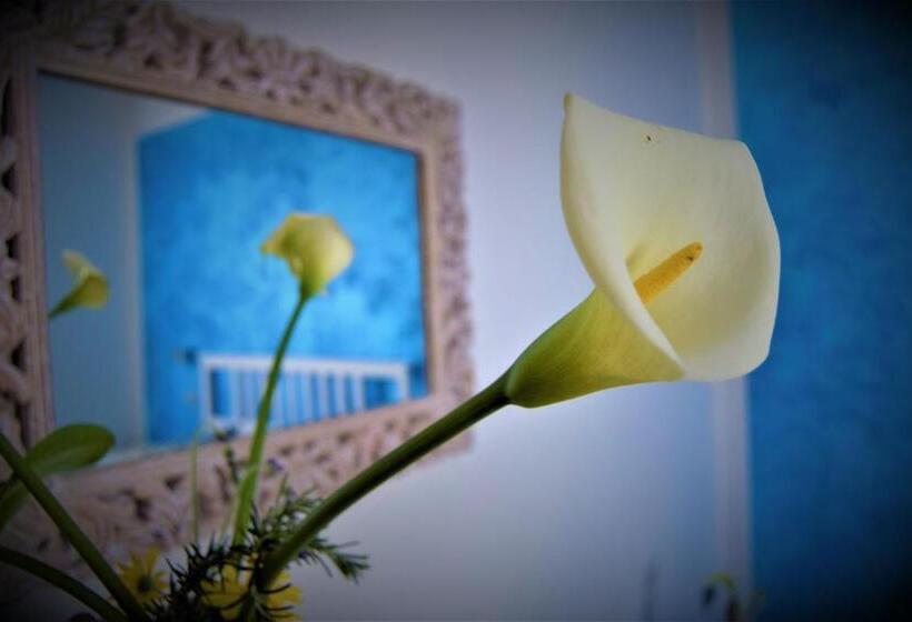 اتاق لوکس, Levante Blu