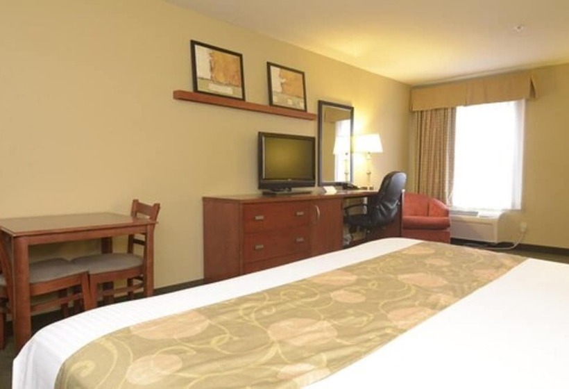 חדר סטנדרט, Big Splash Adventure Indoor Water Park & Resort