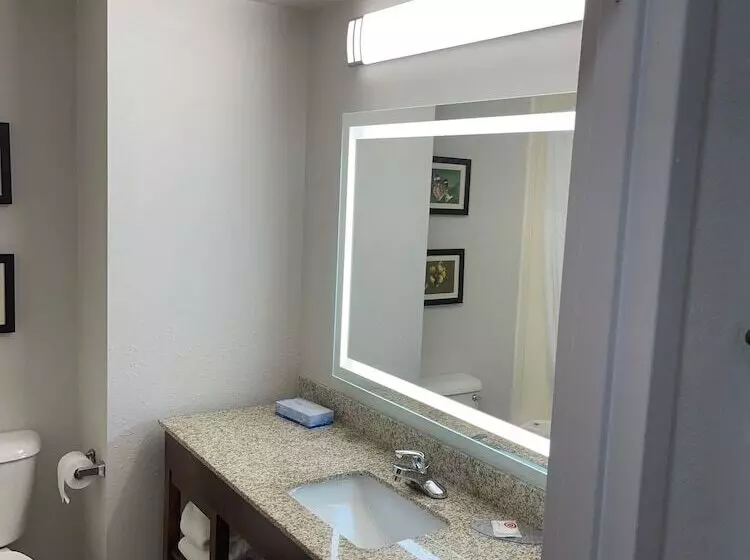 スイート, Comfort Suites Salisbury I85
