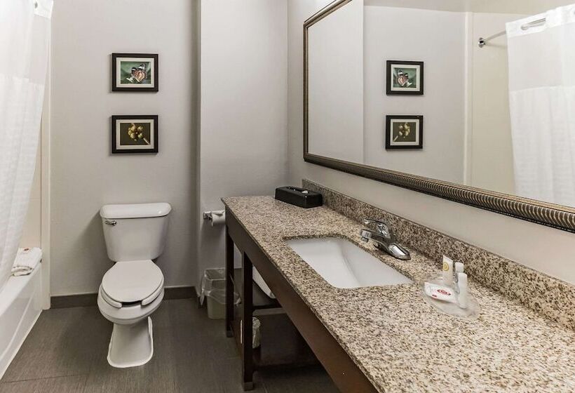 Люкс, Comfort Suites Salisbury I85