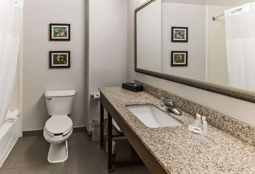 スイート, Comfort Suites Salisbury I85