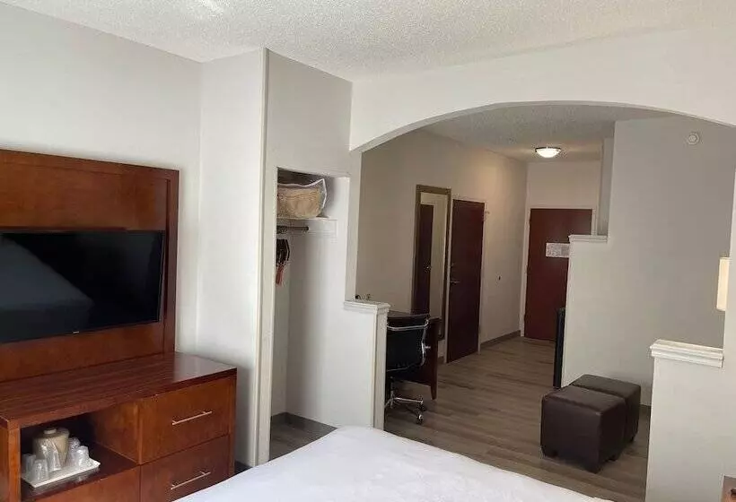 スイート, Comfort Suites Salisbury I85