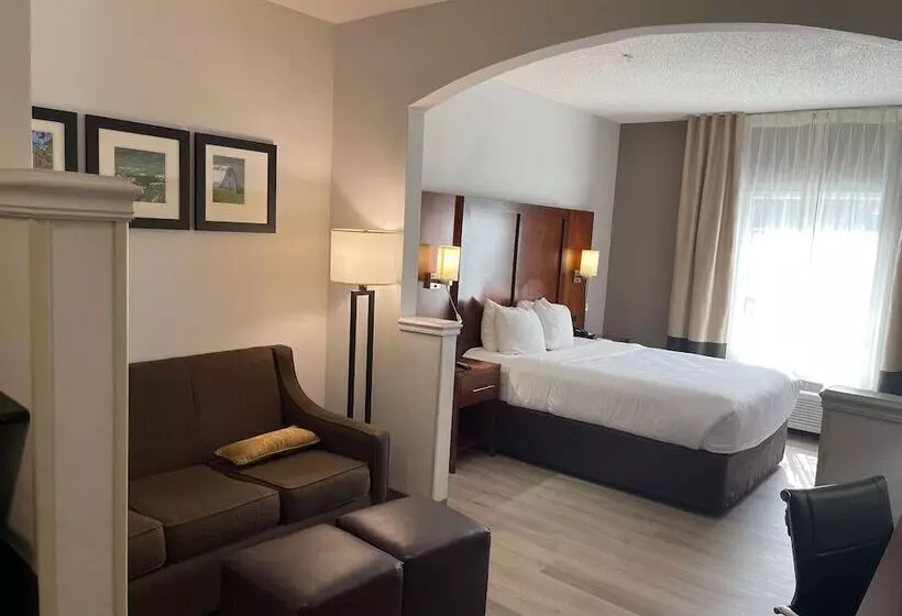 スイート, Comfort Suites Salisbury I85