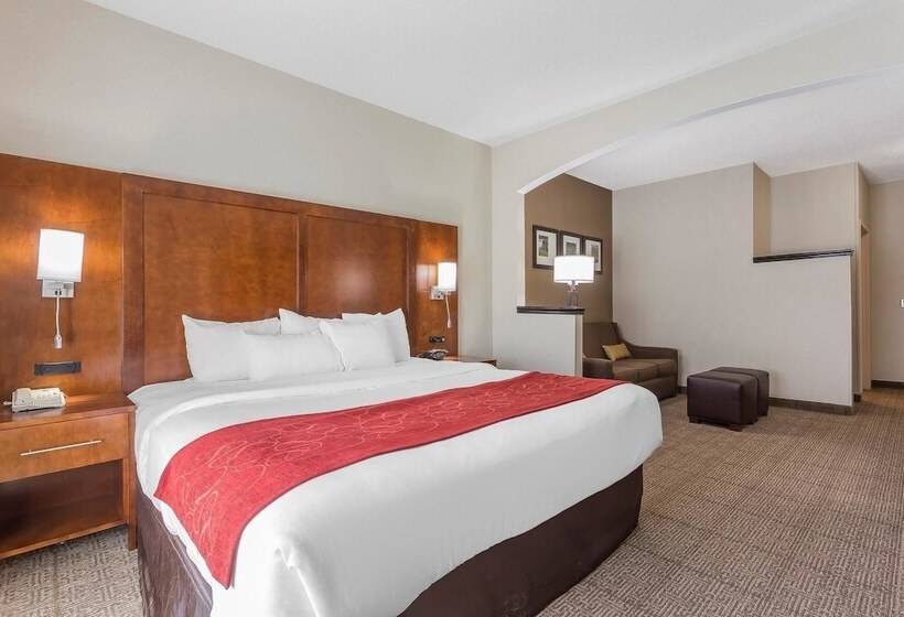 Люкс, Comfort Suites Salisbury I85