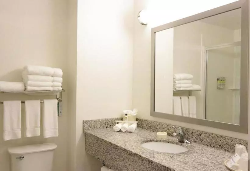 身障者適用キングサイズベッドルーム, Holiday Inn Express And Suites Montgomery, An Ihg