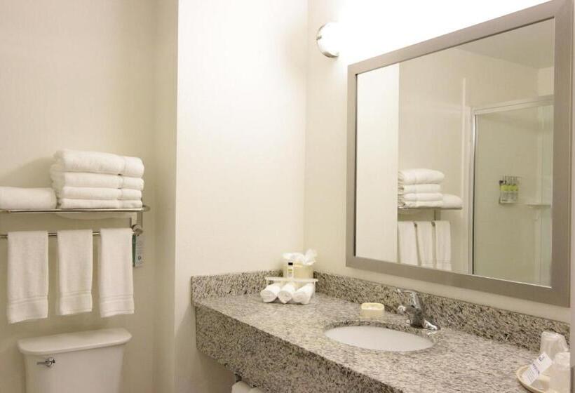 חדר סטנדרט, Holiday Inn Express And Suites Montgomery, An Ihg