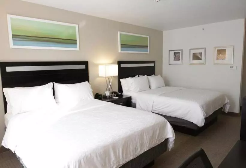 身障者適用スタンダードルーム, Holiday Inn Express And Suites Montgomery, An Ihg