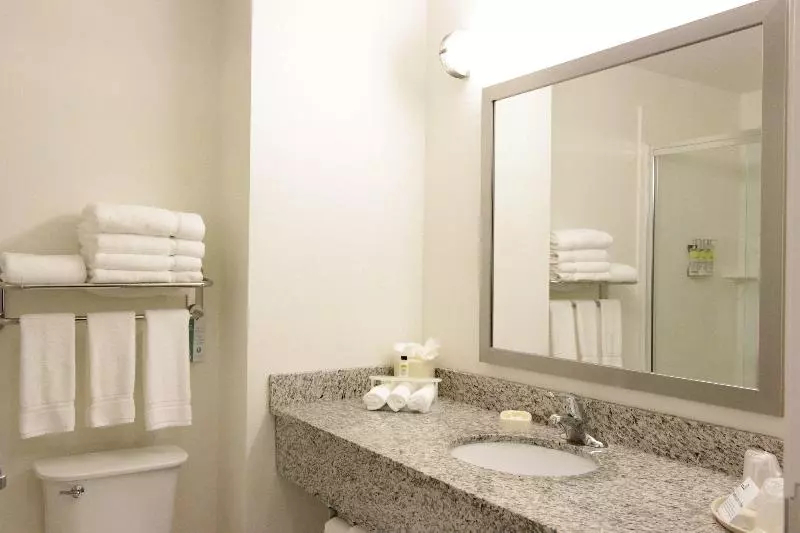 キングサイズベッドのスイートルーム, Holiday Inn Express And Suites Montgomery, An Ihg