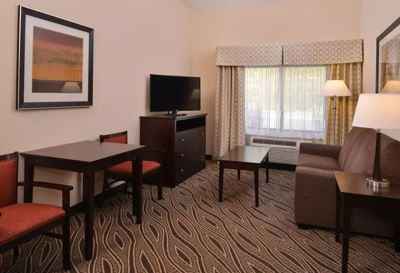 スイート, Holiday Inn Express & Suites Washington   Meadow Lands, An Ihg