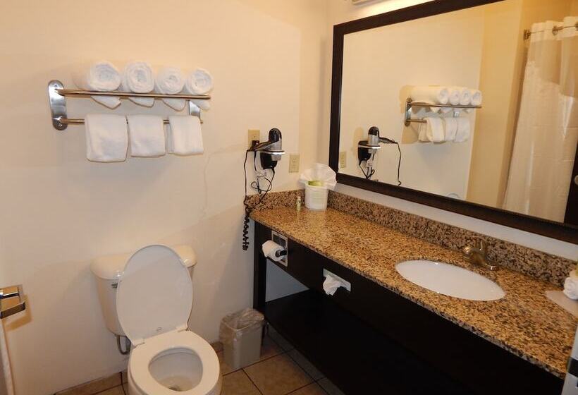 スイート, Holiday Inn Express & Suites Washington Meadow Lands, An Ihg