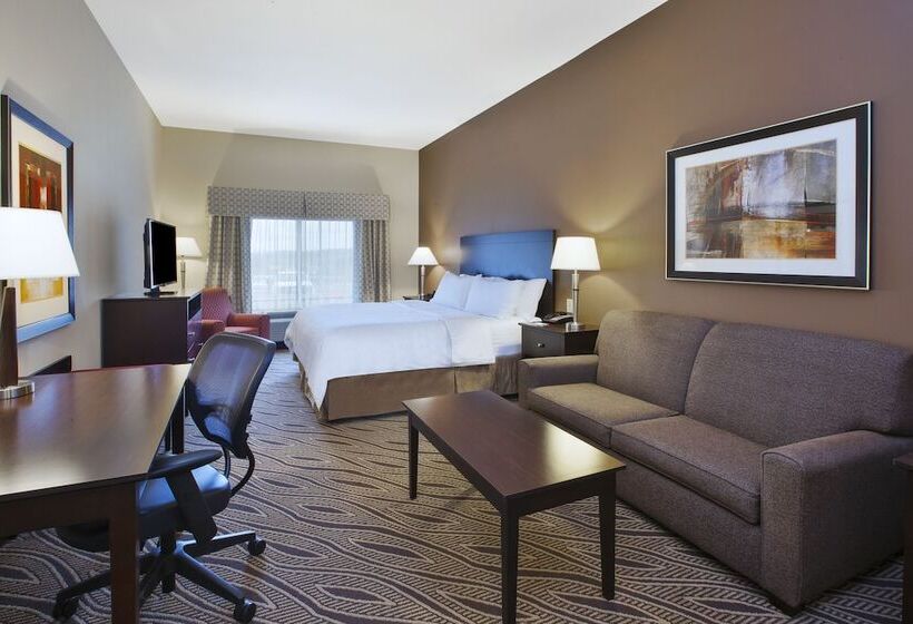 スイート, Holiday Inn Express & Suites Washington Meadow Lands, An Ihg