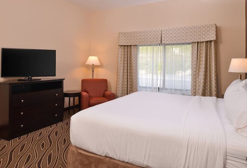 スイート, Holiday Inn Express & Suites Washington Meadow Lands, An Ihg