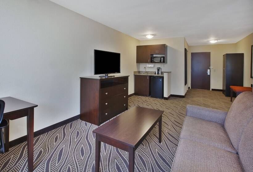 スイート, Holiday Inn Express & Suites Washington Meadow Lands, An Ihg