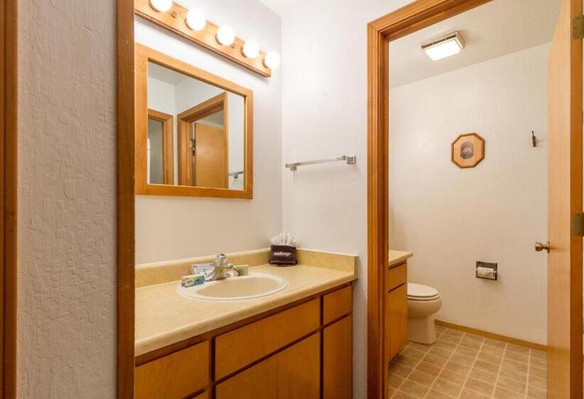 Апартаменты 2 Спальни, Mountain Retreat Resort, A Vri Resort