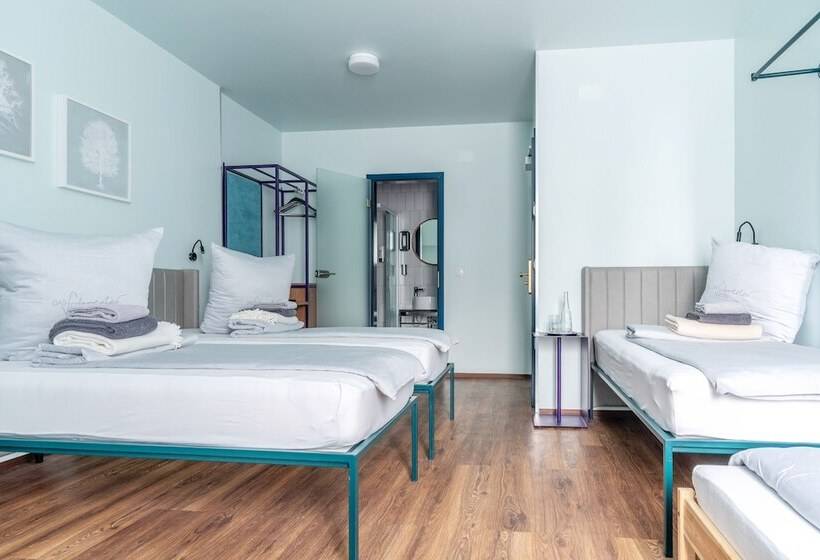 Camera Quadrupla Standard, Das Schreder