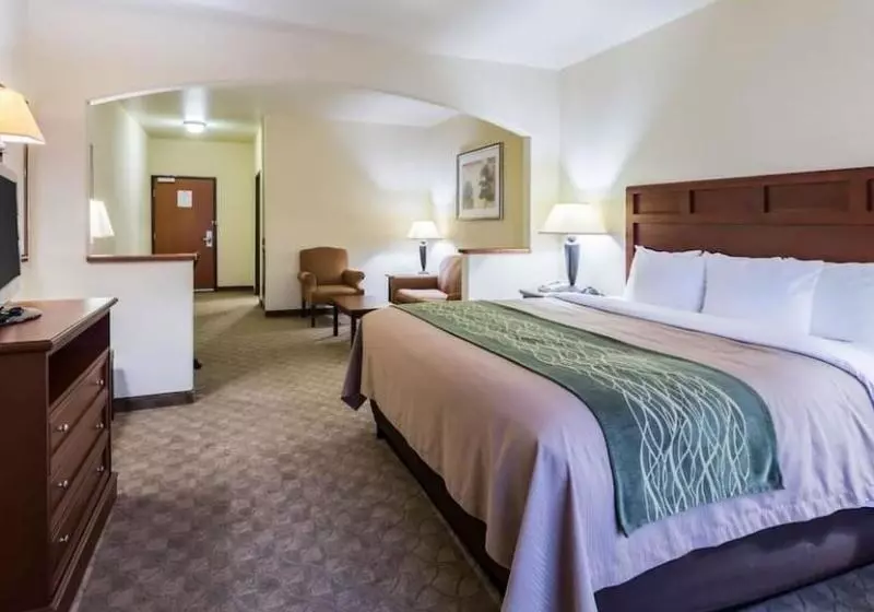 キングサイズベッドのスタンダードルーム, Baymont Inn & Suites By Wyndham Glen Rose