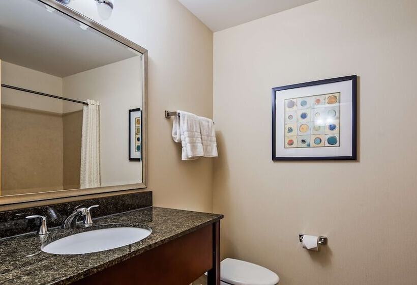 Люкс, Best Western Plus Philadelphia Airport South At Widener University