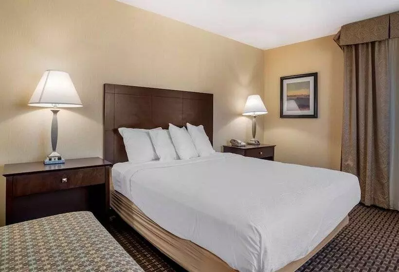 スイート, Best Western Plus Philadelphia Airport South At Widener University